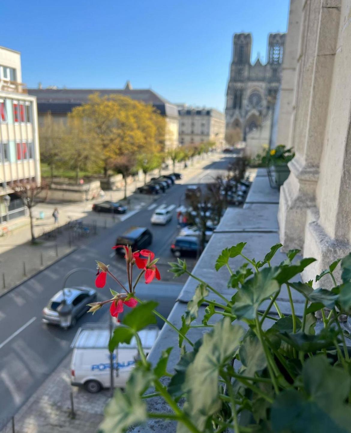 La Demeure Des Sacres - Cathedrale Bed & Breakfast Reims Bagian luar foto